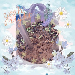 454位[家庭菜園やってます。]