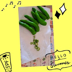 416位[ししとう料理]