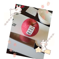 [アップルパイ作りました]978位