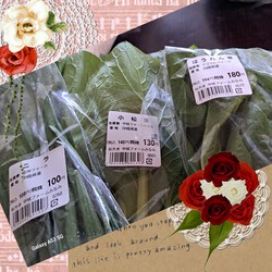 [野菜いっぱい]772位