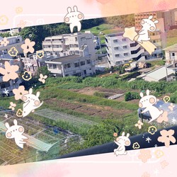 [ベランダからの景色]676位