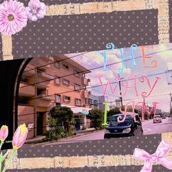 [ケーキ屋さんに行って来ました]834位