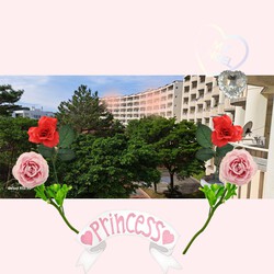 [ベランダからの景色]986位
