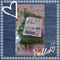 416位[ししとう料理]