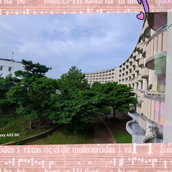 454位[家庭菜園やってます。]