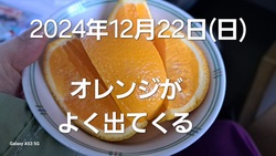 295位[いよいよ明日退院デス]