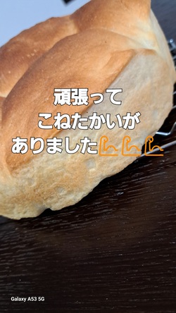 294位[パン作りしましたよ]