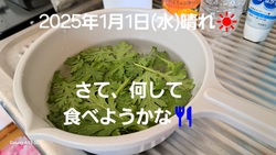 462位[2025年　あけましておめでとうございます]
