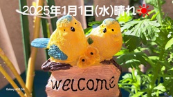 462位[2025年　あけましておめでとうございます]