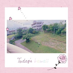 454位[家庭菜園やってます。]