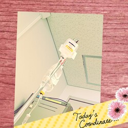 [入院しました]853位
