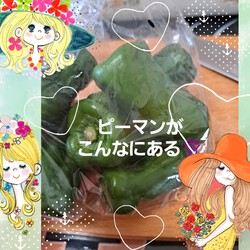 351位[晩ごはんの支度]