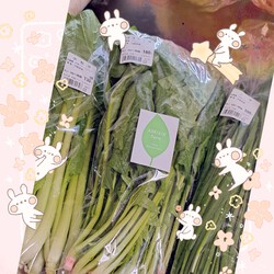 [野菜いっぱい]772位