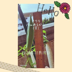 321位[家庭菜園]