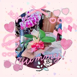 [誕生日なんですよ❤️]647位