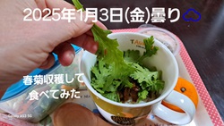 412位[春菊食べてみた]