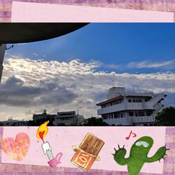 362位[家庭菜園&オクラの成長]