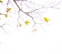 Landscape looked up was 2018/04/25 20:16:00