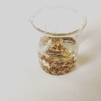 磨き 2016/05/31 08:48:38