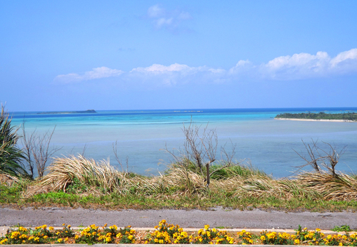 小浜島の風景