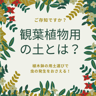 観葉植物用の土ってどんな土 ｓｐｒｏｕｔ 植物と珈琲豆の店