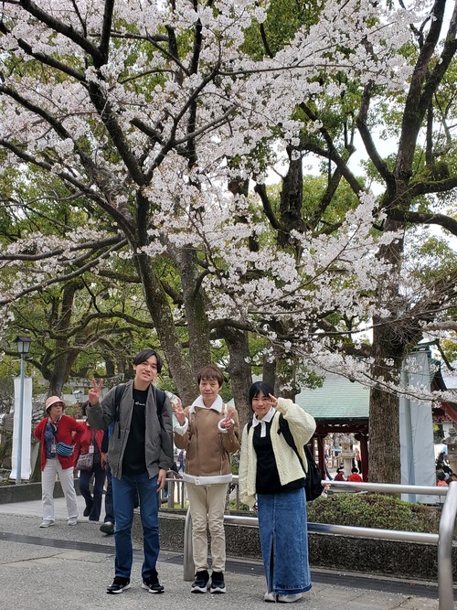 沖縄移住生活