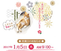 A HAPPY NEW YEAR