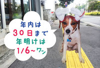 営業日のお知らせ