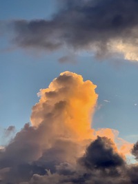 久々に空を見上げる
