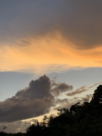 華やぐ夕空