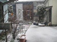 雪降り積む、手が見えない。 2013/02/21 20:29:25
