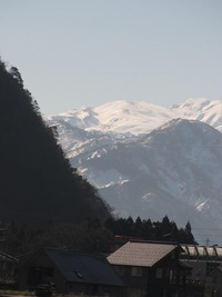 早春賦 2013/03/16 09:11:34
