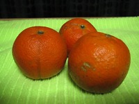 たんかん・短観。 2013/03/31 23:12:57