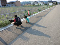 仕合わせのじかん1 2013/08/29 10:13:58