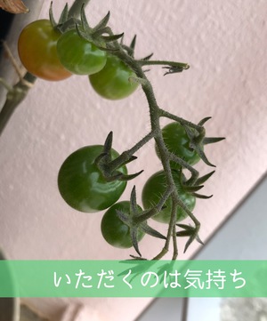 すぎすぎ屋