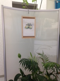 今日から「絵本原画展」開催！