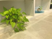今日も１日お疲れ様です！ 2020/03/17 17:01:12