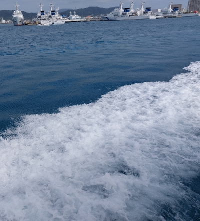 プラタモリ・竹富島