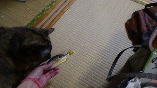 沖縄県　名護市　許田IC真下　許田漁港　～料理編～