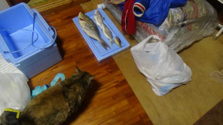 沖縄県　名護市　許田IC真下　許田漁港　～料理編～