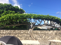 小谷まーいmeets米須生活まるごと博物館