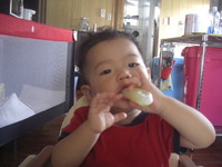 保育園 2010/10/02 22:16:16