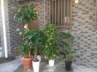 快腸セルフケア～腹横筋編～ 2012/10/23 07:03:00