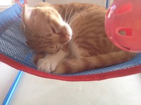 Ｉ　♡　まるこ 2012/10/30 23:48:45