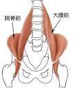 木曜ナイト勉強会「骨盤帯～股関節周囲の筋肉～」 2012/11/09 23:48:18