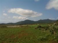 石垣島