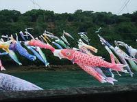 比謝川こいのぼりフェスタ！
