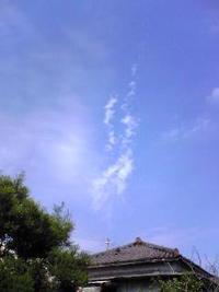 見上げたら・・・