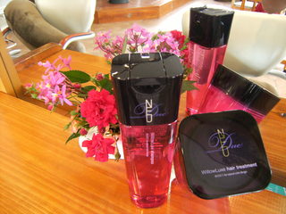 WillowLuxe ♪ (ｳｨﾛｰﾘｭｸｽ)