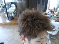 activehair in shino-b
